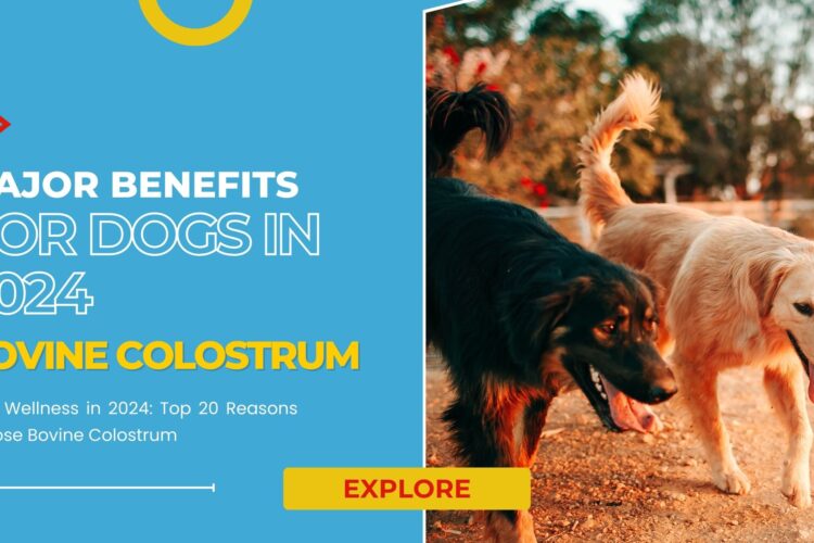 Colostrum Benefits For Dogs