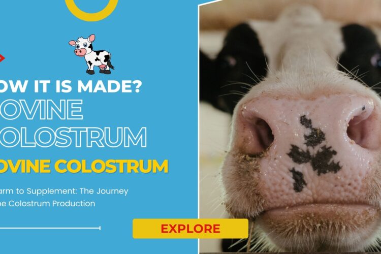 How Bovine Colostrum Is Made