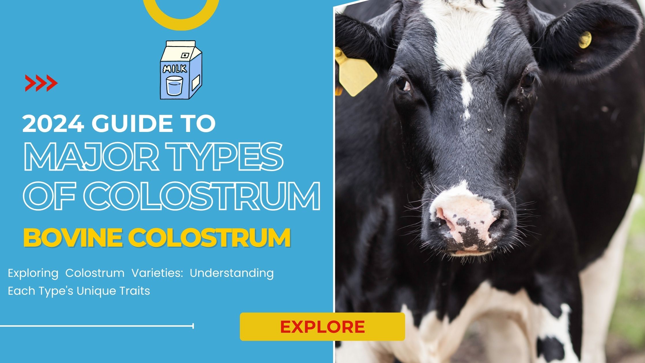 Major Types Of Colostrum.